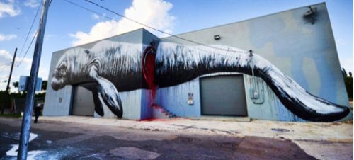 Sliced Manatee mural on a building